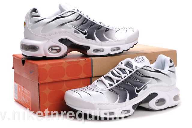 chaussures requin 2010 (1)